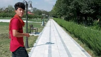 این قربانی ها اکثرآ جوانان تحصیل کرده اند وشامل دختران وپسران اند