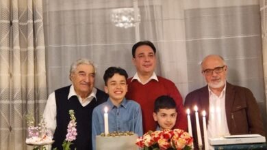 پرویز آرزو درعرصه های آکادمیک، سیاسی ودیپلوماتیک وفعالیت های گسترده ء فرهنگی درافغانستان وبیرون از کشور داشته است